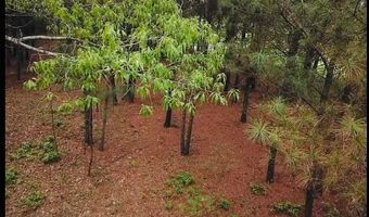 BRUSHY LANE, Arley, AL 35541