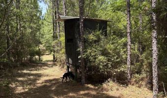 259 Forest Lake Rd, Beaumont, MS 39423