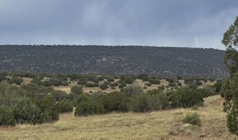 N8485, Concho, AZ 85924