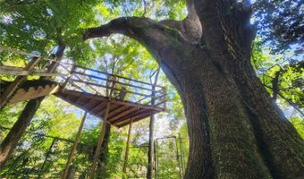 1985 NE 97TH STREED Rd, Anthony, FL 32617