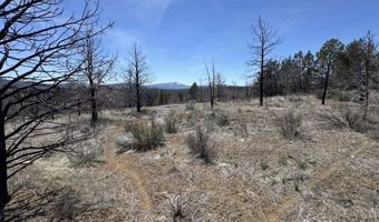31763 Godowa Springs Rd, Beatty, OR 97621