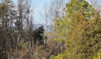 Watt Abbitt Road, Appomattox, VA 24522