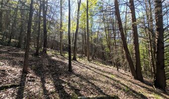 East River Road lot 5, Andes, NY 13731