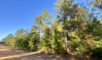 Adams Drive lot 9, Alford, FL 32420