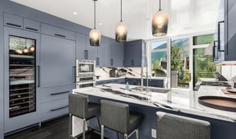 627 E Hopkins Ave 201, Aspen, CO 81611