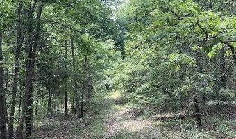 Co Rd 304, Ava, MO 65608