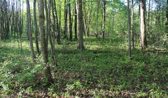 104 Th Ave, Allegan, MI 49010