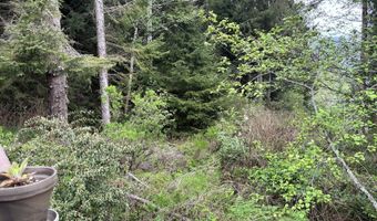 19921 WHALESHEAD Rd T12, Brookings, OR 97415