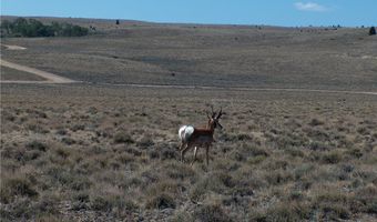 Ranger Way lot Bvr 942-3, Belfry, MT 59008