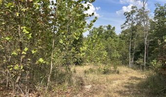 Hc 73 Box 4925 Track 20, Ava, MO 65608