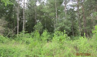 7275 Beulah Ln, Baconton, GA 31716