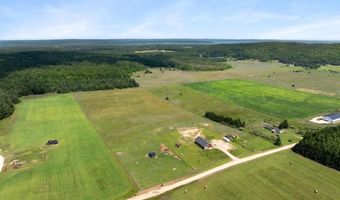 8445 HAINES, Alanson, MI 49706
