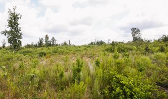 2778 SW Big Creek Dr, Bogue Chitto, MS 39629