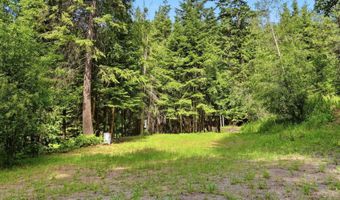 1710 Tower Mountain Rd, Blanchard, ID 83804