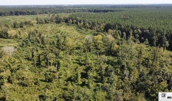 MILTON WHITE ROAD, Bastrop, LA 71220