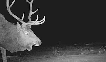Nhn Ruby Creek Road 946-18, Belfry, MT 59008