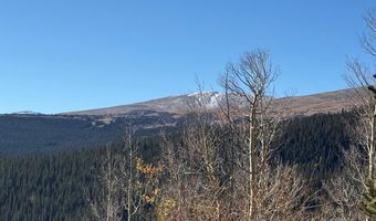 0 County Road 787, Alma, CO 80420