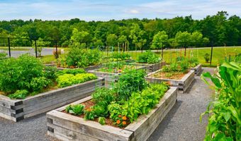 102 PHOEBE Ct, Lake Frederick, VA 22630