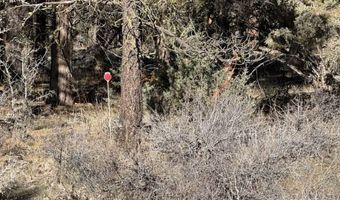 Badger Lane, Bonanza, OR 97623