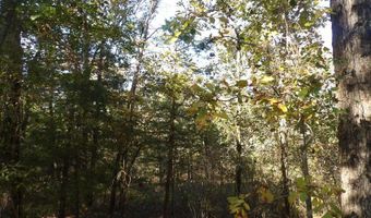 Tract 1 Land Off Meimerstorf Lane, Russellville, AR 72801