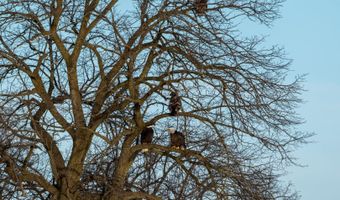 39450 N Circle Ave, Antioch, IL 60002