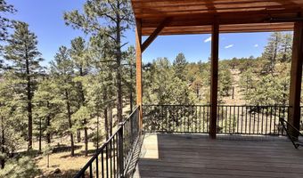 106 Donkey Ct, Alto, NM 88312
