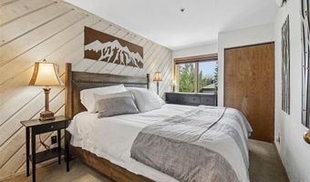 305 S Park Ave 303, Breckenridge, CO 80424
