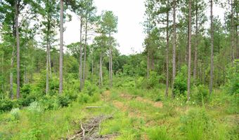 Lot 3 TBA MELITA RD 3, Arvonia, VA 23004