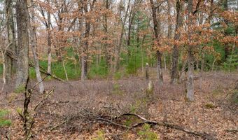 Dover Drive lot 1 14 Ac, Adams, WI 53910