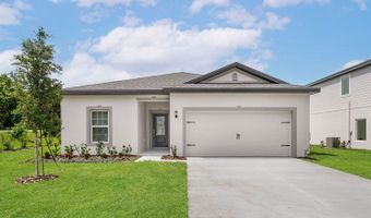13390 Tula Loop Plan: Driftwood, Astatula, FL 34705