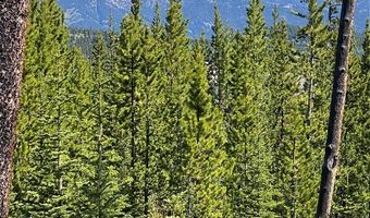 Bear Den Court Road, Big Sky, MT 59716