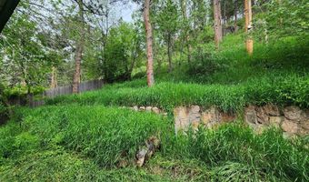 10313 Poudre Canyon Rd, Bellvue, CO 80512