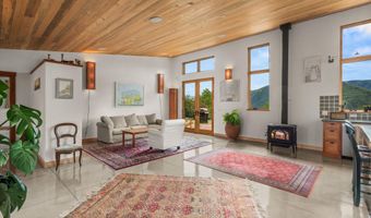 320 Hawk Ln, Basalt, CO 81621