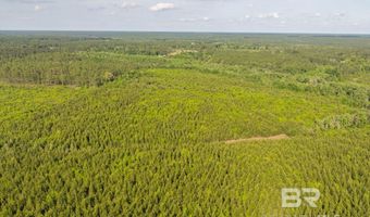 Flowers Road, Bay Minette, AL 36507