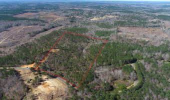 0 Adams Road - Lots 1 & 2 Lots, Bankston, AL 35542