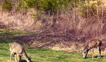 6270 KY 1809, Barbourville, KY 40906