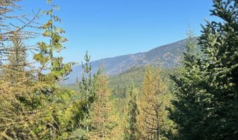 Tract 6 USFS 2294, Clark Fork, ID 83811
