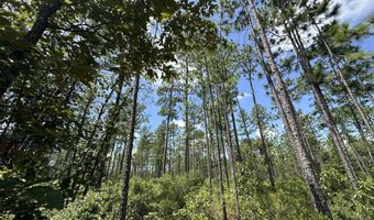 6389 County Line Rd B, Baker, FL 32531