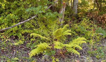 LEE HIGHWAY, Amissville, VA 20106