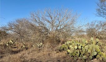 CR 119 lot 0, Alice, TX 78332