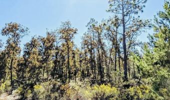 6830 NW Porter Grade Rd, Altha, FL 32421