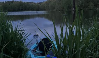 15116 NE GRANTHAM Rd, Amboy, WA 98601