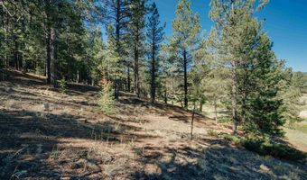 Snowmass Rd lot 9, Angel Fire, NM 87710
