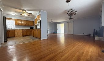 15497 Hwy 233, Abbeville, GA 31001