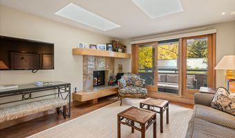 1020 E Hopkins Ave 9, Aspen, CO 81611