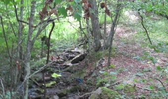 43 Sanctuary Ln, Alderson, WV 24910