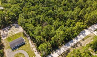 Tbd NW 16TH AVENUE, Bell, FL 32619