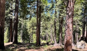 1619 Shoshone Dr, Arnold, CA 95223