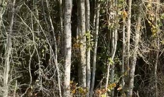 Virginia Drive, Atmore, AL 36502