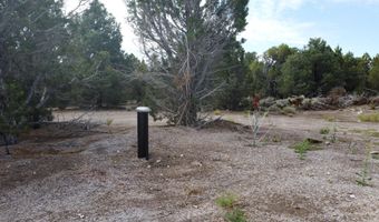 14846 W Choke Cherry, Beryl, UT 84714